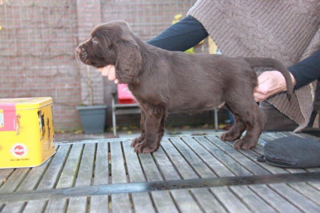 jong geleerd